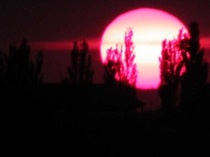 Більшовик з panoramio.com - Большевик