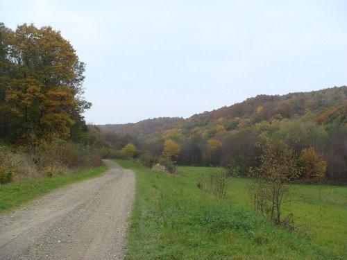 Зруб з panoramio.com - Зруб