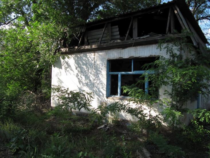 Зелений Гай з panoramio.com - Зеленый Гай