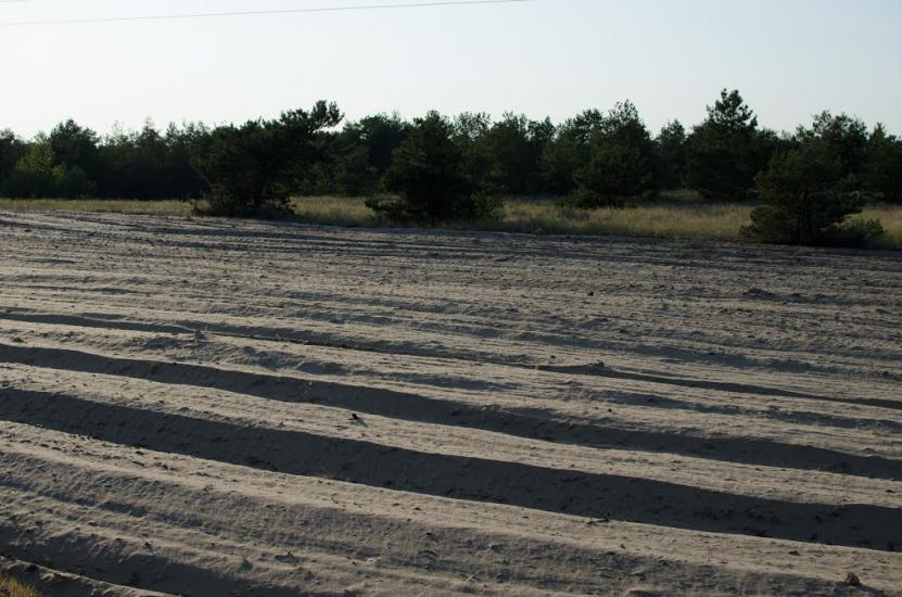 Солонці з panoramio.com - Солонцы