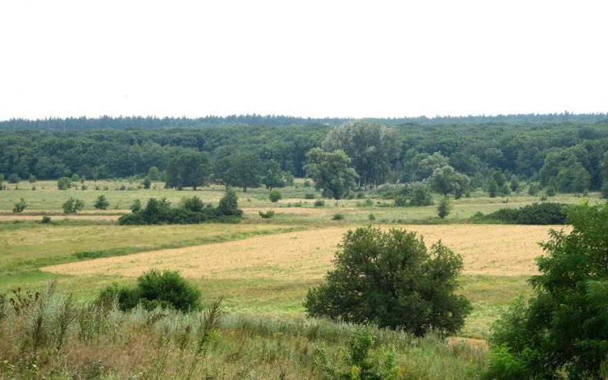Підлісне з panoramio.com - Подлесное