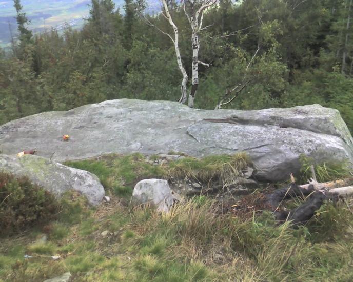 Пшеничники з panoramio.com - Пшеничники