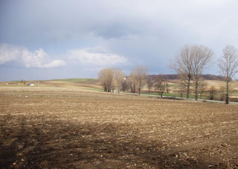 Корчів з panoramio.com - Корчев