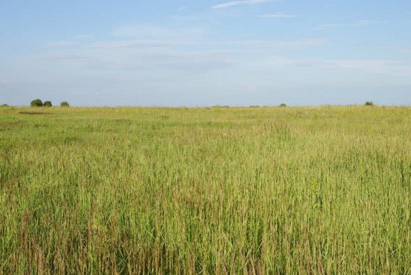 Вишнівка з panoramio.com - Вишнівка