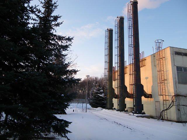 Зелений Гай з panoramio.com - Зеленый Гай