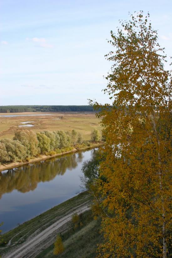 Радичів з panoramio.com - Радичів