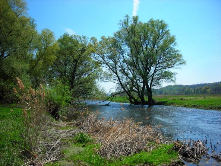 Думанці з panoramio.com - Думанці