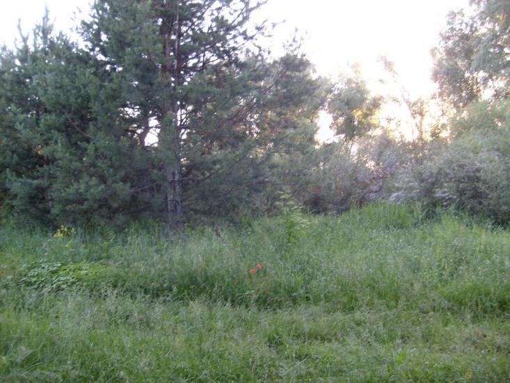 Комишуваха з panoramio.com - Комишуваха