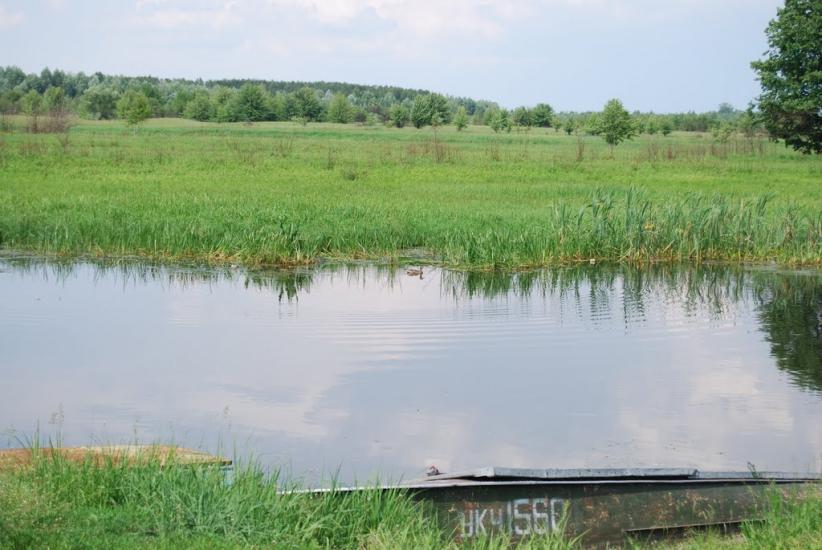 Прохорів з panoramio.com - Прохоров