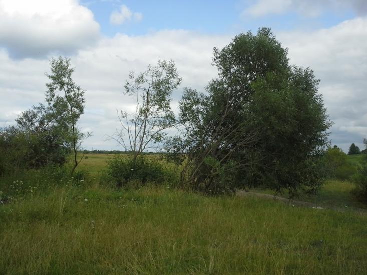 Вирка з panoramio.com - Вырка