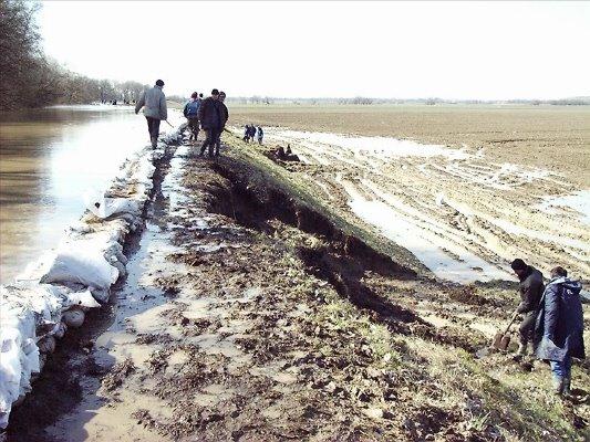 Гуняді з panoramio.com - Gunyadi