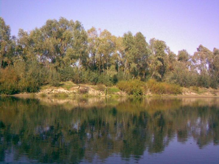 Літочки з panoramio.com - Леточки