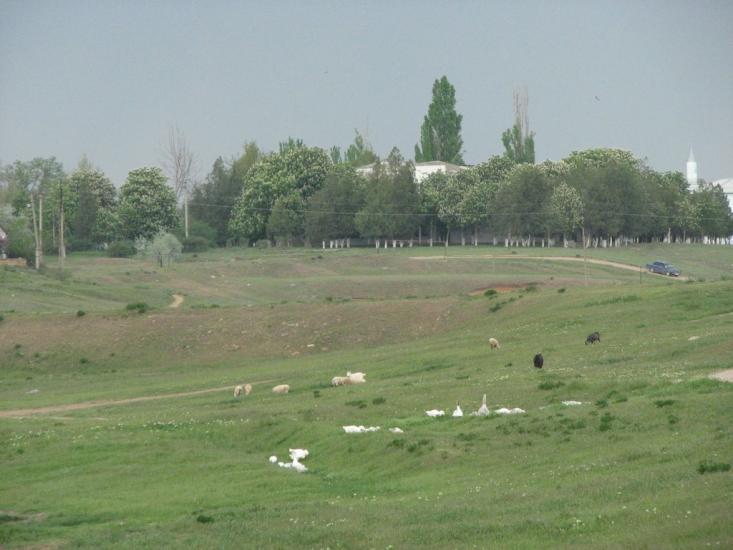 Теплівка з panoramio.com - Теплівка