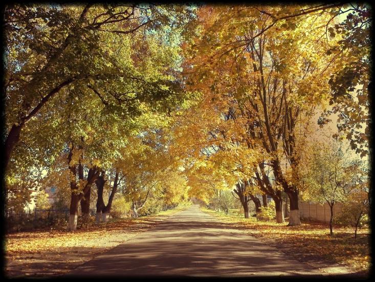 Велика Омеляна з panoramio.com - Велика Омеляна