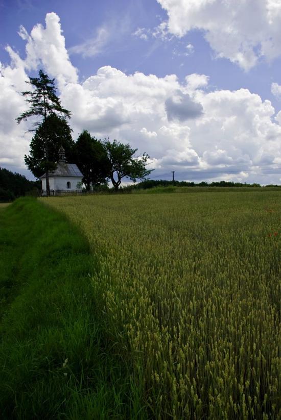 Великі Макари з panoramio.com - Великі Макари