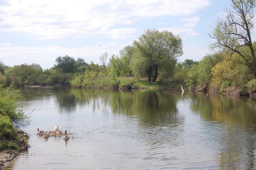 Берестечко з panoramio.com - Берестечко