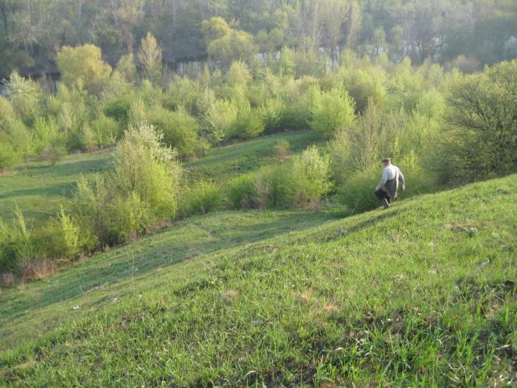 Плавні з panoramio.com - Плавні