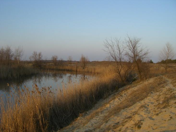Солонці з panoramio.com - Солонцы