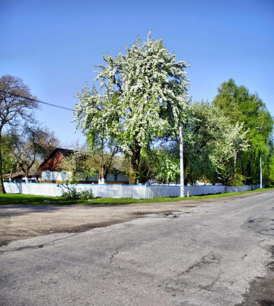 Миропіль з panoramio.com - Мирополь