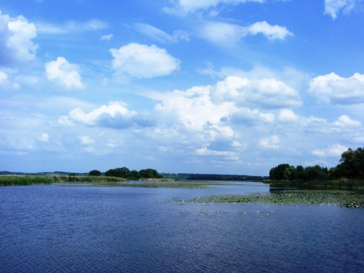 Вороне з panoramio.com - Вороне