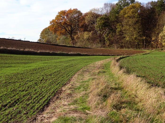 Корчів з panoramio.com - Корчів