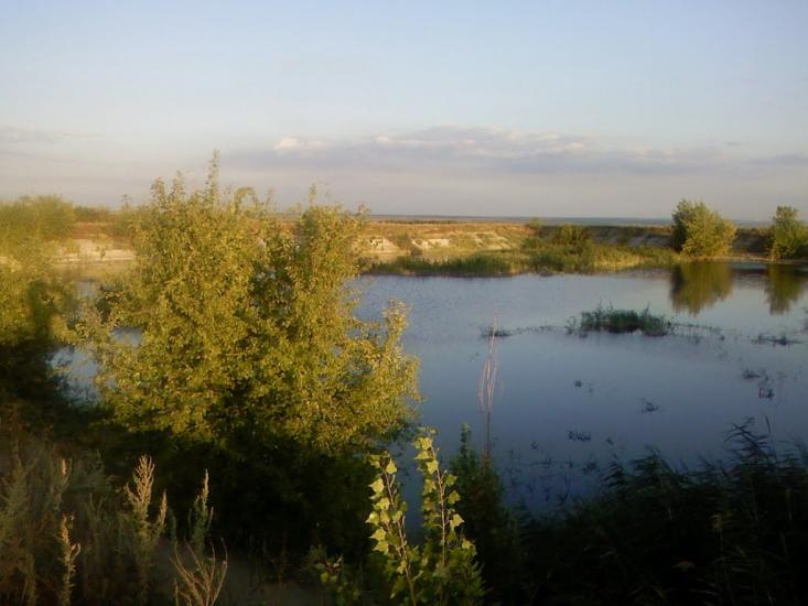 Вишневий Діл з panoramio.com - Вишневый Дол