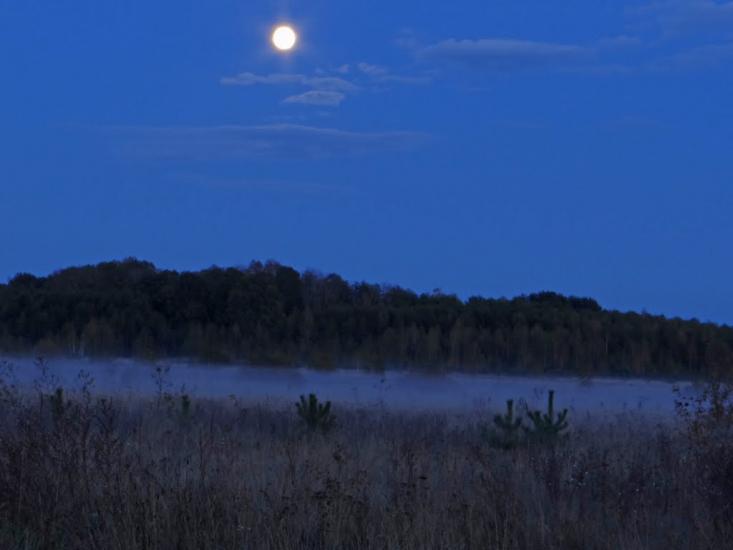 Спичувате з panoramio.com - Спичуватое