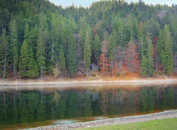 Синевир з panoramio.com - Синевир