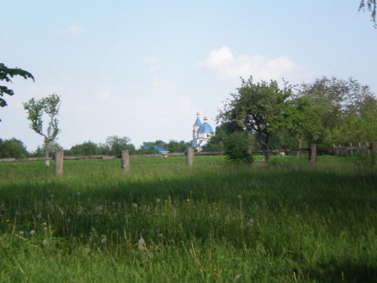 Вікторівка з panoramio.com - Вікторівка