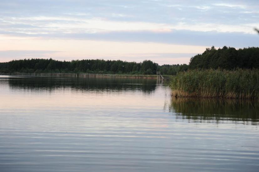 Соловичі з panoramio.com - Соловичі