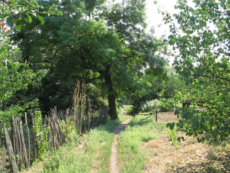 Новожеланне з panoramio.com - Новожеланне