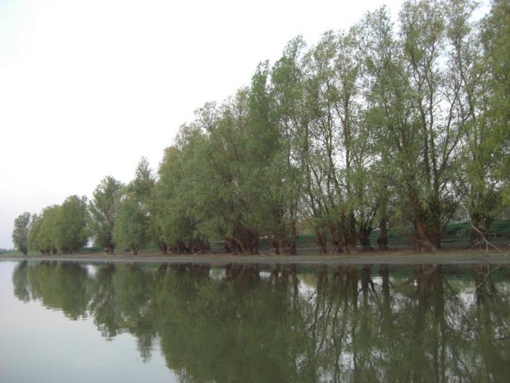 Дунайське з panoramio.com (ч.2) - Дунайское