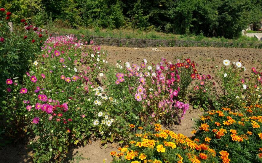 Садківці з panoramio.com - Садківці
