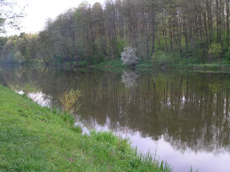 Стрижавка з panoramio.com - Стрижавка