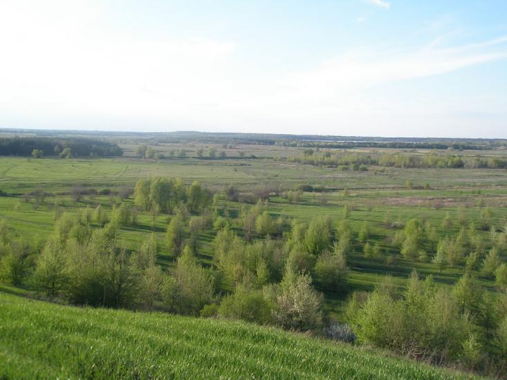 Біляки з panoramio.com - Bilyaky