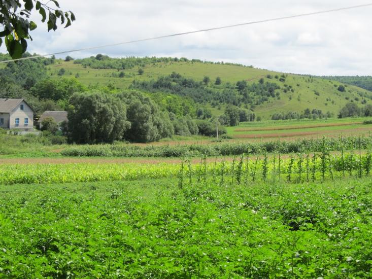 Подусільна з panoramio.com - Подусільна