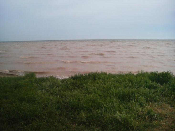 Лупареве з panoramio.com - Лупарево