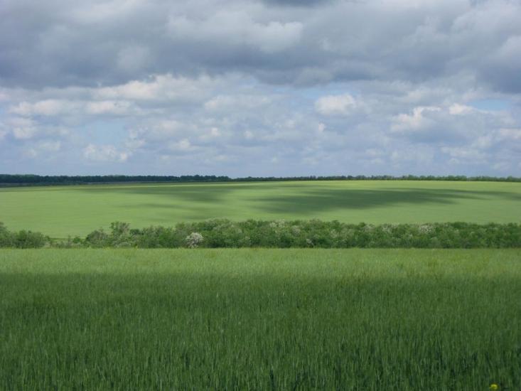 Добра Надія з panoramio.com - Добра Надія