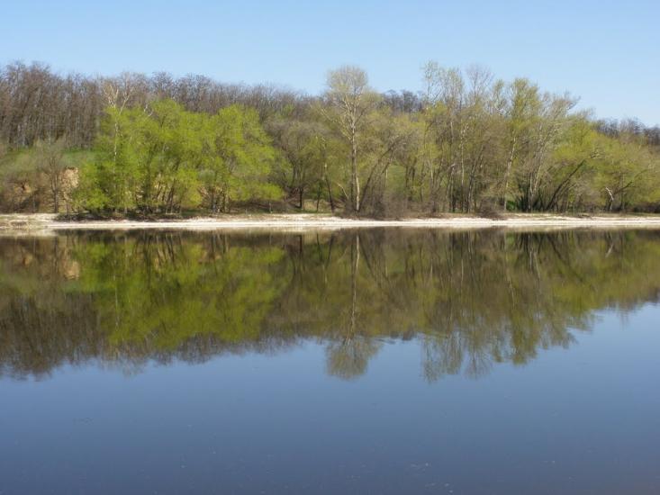 Любимівка з panoramio.com - Любимовка