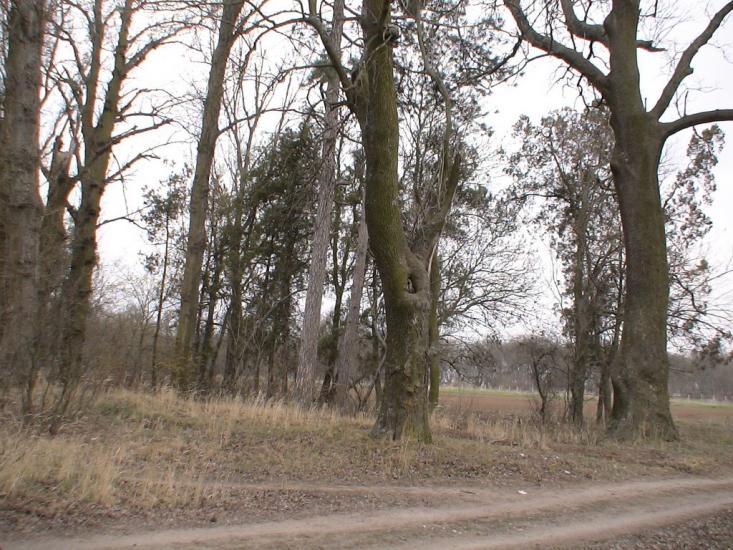 Роздольне з panoramio.com - Раздольное