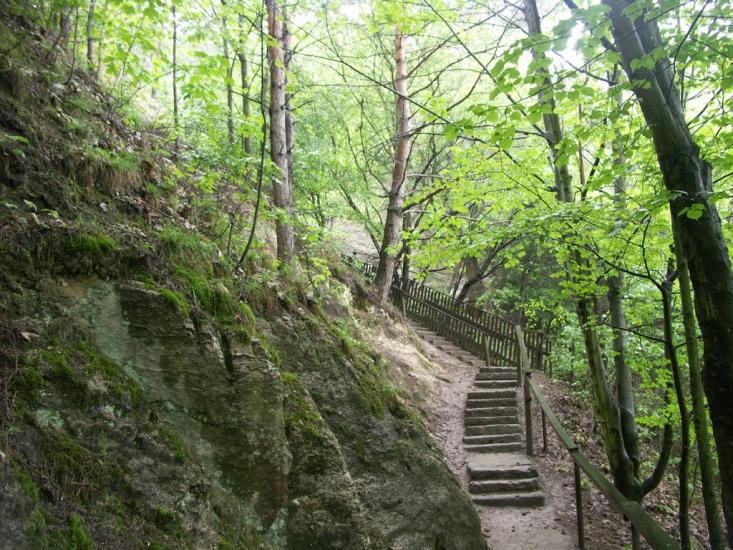 Кривче з panoramio.com - Кривче
