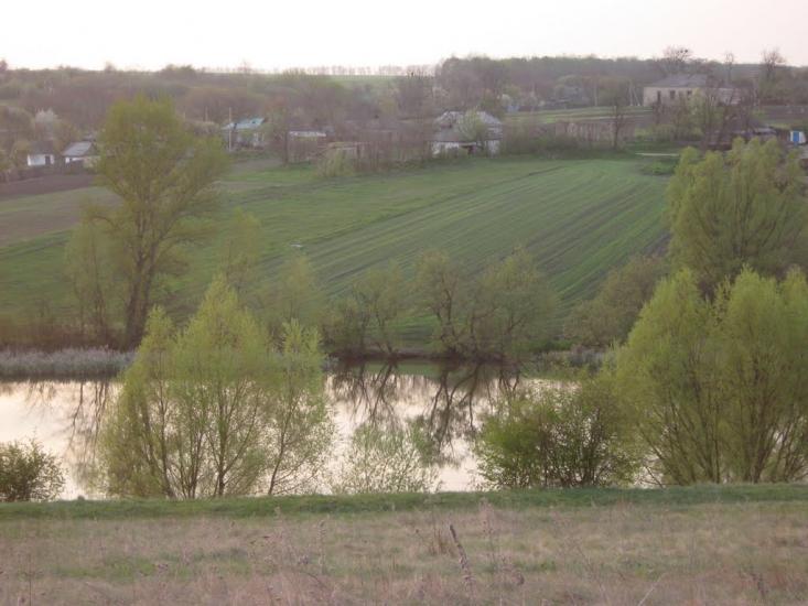 Скалівські Хутори з panoramio.com - Скалівські Хутори