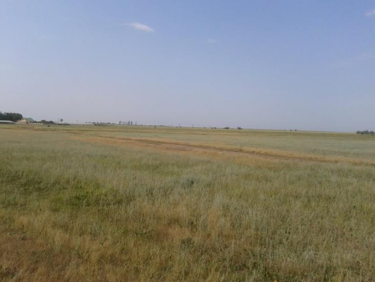 Роздольне з panoramio.com - Роздольне