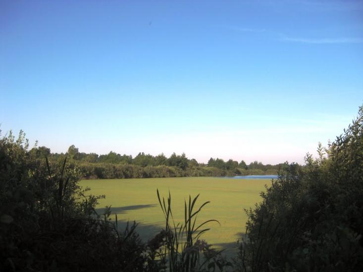 Щуча Гребля з panoramio.com - Щуча Гребля