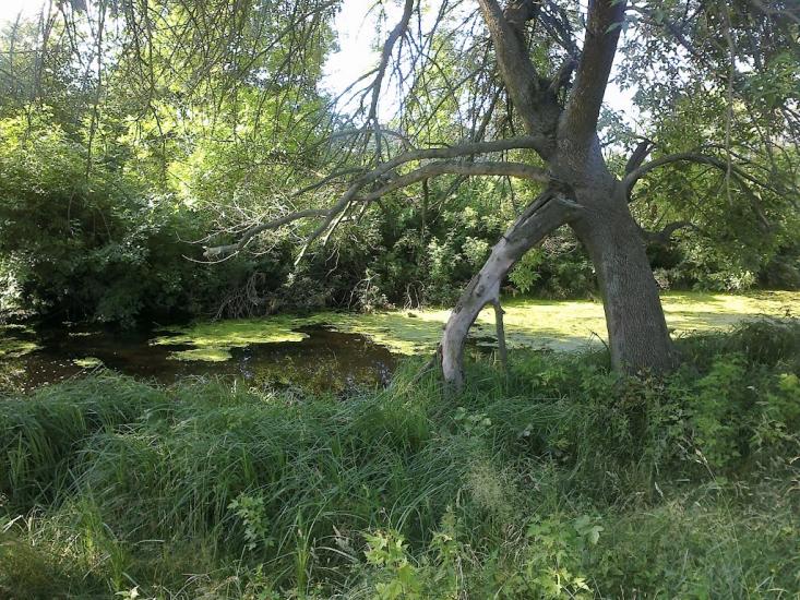 Камінь-Каширський з panoramio.com - Камінь-Каширський