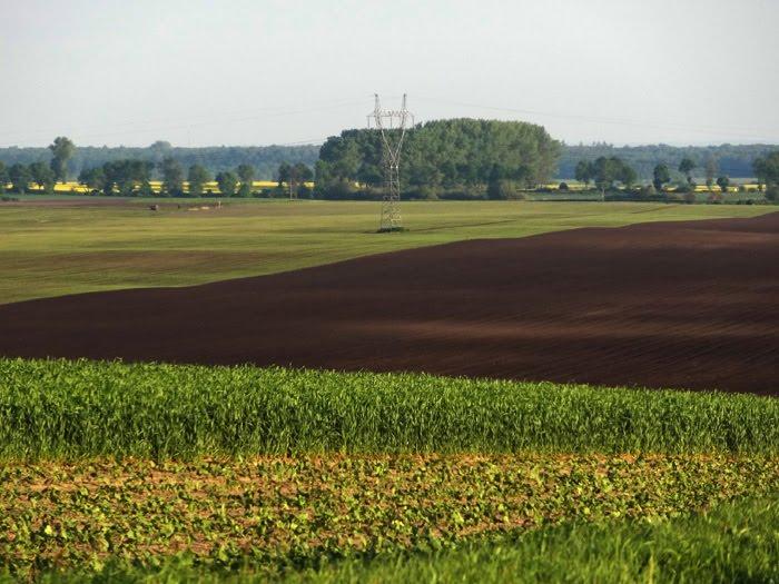 Стаївка з panoramio.com - Стаївка