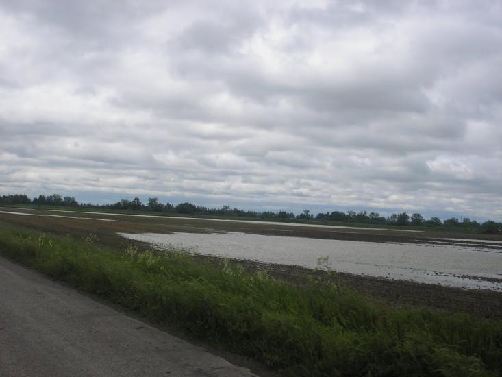 Сторожниця з panoramio.com - Сторожница