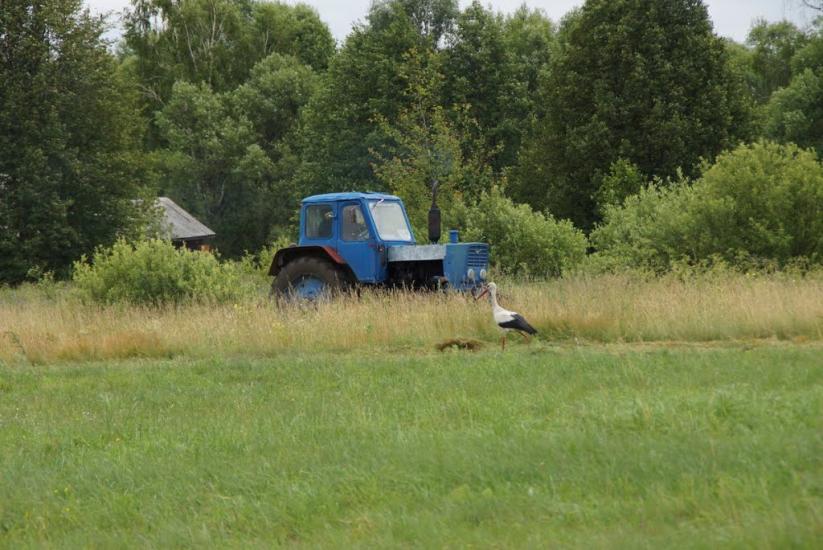 Рейментарівка з panoramio.com - Рейментаровка