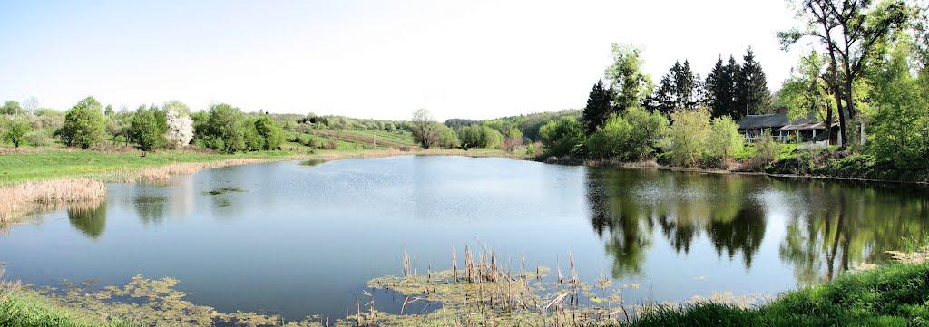 Бахматівці з panoramio.com - Бахматівці