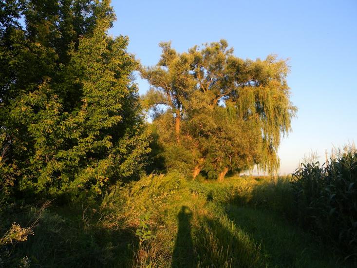 Білозір'я з panoramio.com - Белозерье